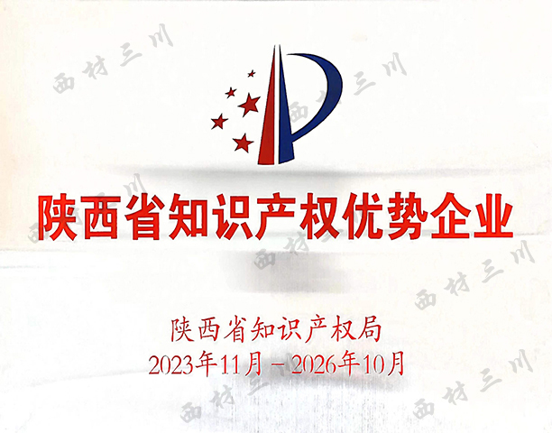陜西省知識產權優(yōu)勢企業(yè).jpg